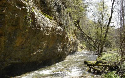 Les gorges du Nozon