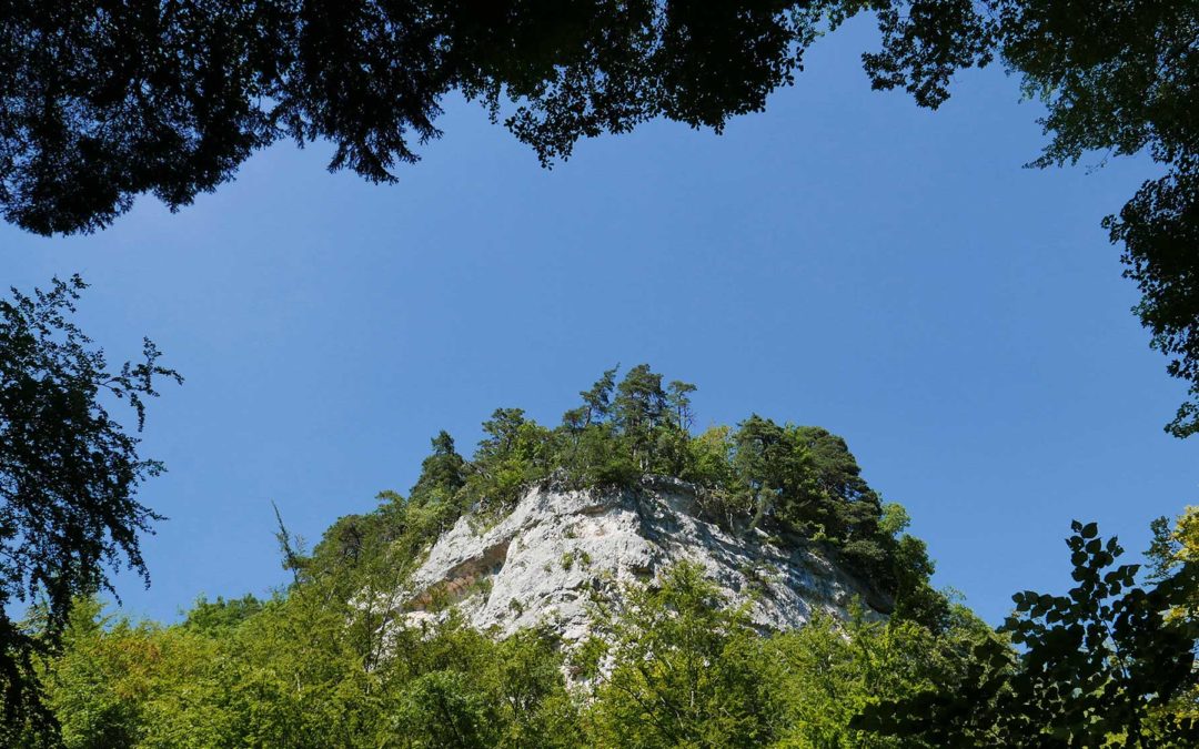 La réserve forestière des gorges de l’Orbe