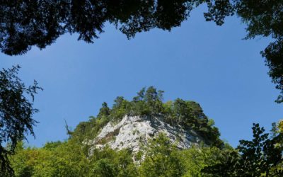 La réserve forestière des gorges de l’Orbe
