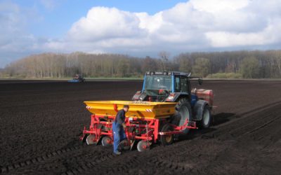 Les terres noires des tourbières de la plaine de l’Orbe