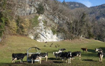 L’abri sous roche de Baulmes