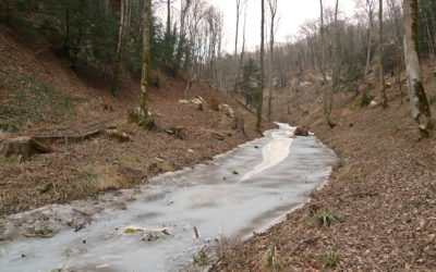 Le canal d’Entreroches, un projet européen avant l’heure