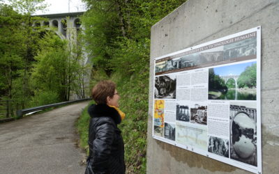 Flâneries sur nos chemins